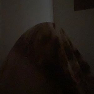 Meet your Posher, Darius